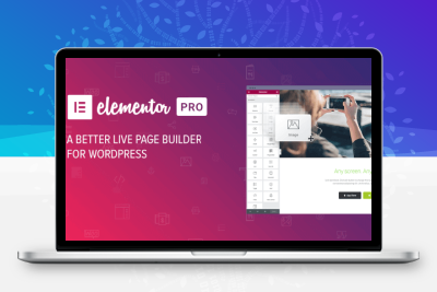 Elementor Pro – 可视化页面编辑插件