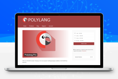 Polylang Pro – 优秀的WordPress多语言翻译插件